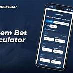 system bet calculator